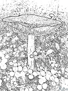 Mushroom Printable Coloring Nplooj Ntawv